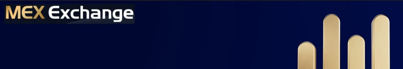 profile banner