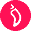 CHZ logo