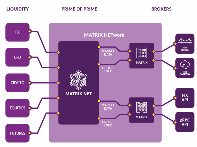 Goldi matrix-network.png